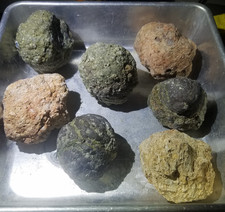 (Each 1-lb LOT) = ( 7 to 8 Thundereggs Rough) • Oregon Rocks • Tumbler Lapidary picture