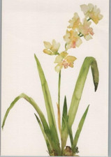 Orchid Water Color Painting Ad for Exhibit Malibu Country Mart Postcard picture
