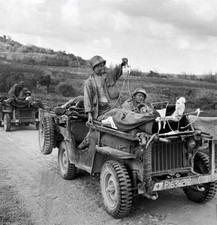 WWII B&W Photo US Soldiers and Wounded on Medic Jeeps Saipan  WW2 / 1158 picture