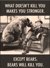 What Doesn’t Kill You Makes You Stronger,Except Bears. On A 2”x3”Fridge Magnet. picture