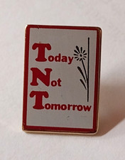 Today Not Tomorrow Lapel Pin picture