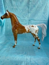 Peter Stone Arabian, Glossy, FCM, SR, Mare picture