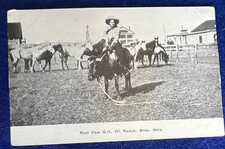 Real Cow Girl 101 Ranch Bliss Oklahoma Photo Postcard Cowgirl on Steer Western picture