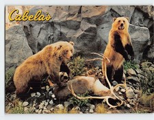 Postcard Cabelas picture