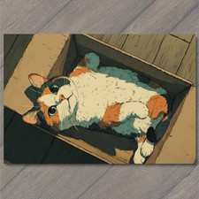 POSTCARD Calico Cat Cardboard Box Cute Whiskers Big Eyes Cozy Home picture