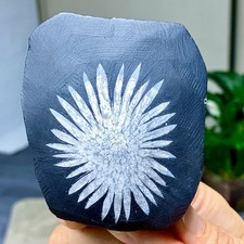 310G Natural chrysanthemum stone quartz carving aura healing gift picture
