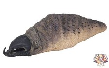 Graboid Tremors GRABOIDS COLLECTION Mini Figure picture