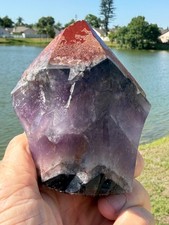 Nice Large Auralite 23 Crystal Red Cap from Canada 518 grams 4