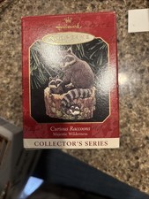 CURIOUS RACCOONS~3RD IN THE MAJESTIC WILDERNESS SERIES~1999 HALLMARK ORNAMENT picture