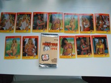 1994 Hooters Calendar Girls - Lot of 12 cards - Mint Condition picture