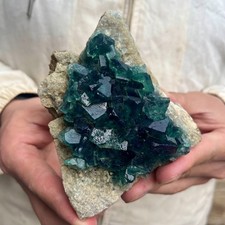 610g  Natural cubic green fluorite crystal cluster rough mineral specimen picture