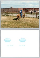 5 x 3.5 INCH Western Rider Horse Circus Photo picture