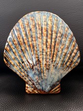 Vintage Pier 1 SeaShell Wall Pocket Ceramic Hanging Vase Nautical Beach Shell picture