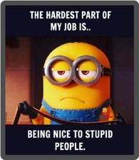 Funny Minion The Hardest Part Of My Job Refrigerator Magnet picture