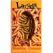 SUPERWORMS larvets cheddar cheese flavor edible insects for human consumption picture