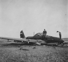 WW2 WWII Photo Crashed Soviet IL-2 Sturmovik  Fighter World War Two / 5429 picture