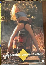 VTG 1996 Playboy Poster Dangerous Curves Ahead Neriah Rare 23x35 Pinup picture