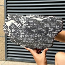 2.9 lb  Natural Zebra Polished Slice Black White Stripe Crystal Mineral Specimen picture