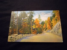 Skyline Drive in Autumn Near Clingman's Dome Great Smoky Mountains Postcard picture