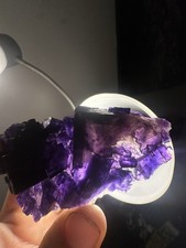 Large Purple Cubic Fluorite Cluster With Phantoms From Minerva 1 Mine Illinois picture