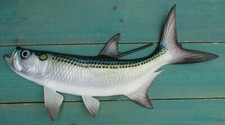 Tarpon Hand Painted 19