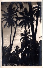 RPPC Palms At Sunset Antigua Veracruz Mexico UNP Postcard XH10 picture