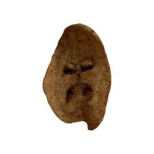 Chewbacca Chip Rare Star Wars Collectible picture