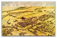 Waldo Rodene Painting Birds Eye View Pawnee City NE UNP Chrome Postcard Z13 picture