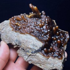 TOP 373G Natural China's Gobi Desert  Agate Eyes Crystal Healing L4635 picture
