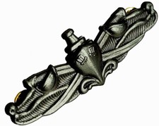 NAVAL SURFACE WARFARE Specialist ESWS REGULATION GRAY BADGE PIN ENLISTED US NAVY picture