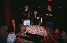 Bloodline at Bloodline at Wetlands 1992 at Wetlands in New York Ci - Old Photo 4 picture