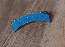 Vintage Community Service Enameled Arc Pin  picture