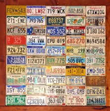 50 State Set of United States License Plates - Well Worn/ Roadkill Condition picture
