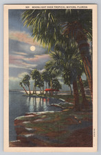 Moonlight Over Tropical Waters, Florida Vintage Linen Postcard 1930s picture