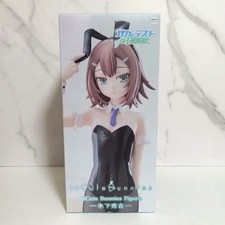 Baka and Test Kinoshita Hideyoshi BiCute Bunnies Figure FuRyu picture