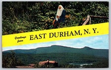 Vintage East Durham NY Catskill Mountains Rip Van Winkle Postcard A198 picture