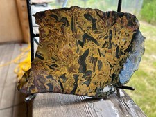 KALEIDOSCOPE JASPER SLAB FROM THE OREGON RHODES MINES SPECTULAR  5.7 X 4.6 X .30 picture