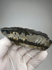 RARE Idaho Wildfire Jasper Slab - Agate - Lone Juniper 1 Claim, Idaho picture