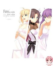 TYPE MOON Exhibition Fate stay night 15 Years of History Catalog picture