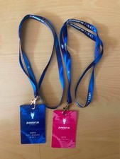  VIP Pass Lanyard Set UEFA Champions League Final 2026 PSG Arsenal picture