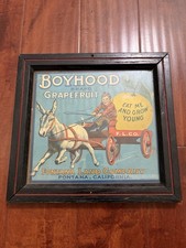 Antique 1920s Boyhood Grapefruit Crate Label Fontana CA Wood Frame picture