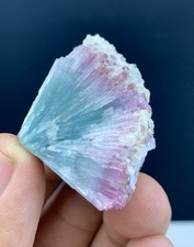 Natural Bi-Color Tourmaline Spray Crystal on Matrix Pink & Blue From Afghanistan picture