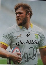 RUGBY Autograph DUANE VERMEULEN Sheet 20X30 Signed South Africa  picture