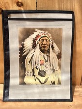 Antique 1915 Chief Big Spring Blackfeet Photo Print William Bull Glacier Park picture