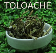 Datura inoxia | Sacred Datura | Toloache Dried Herb Wicca/ Witchcraft 1/4 oz picture