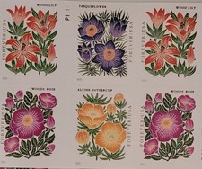 2022 Mountain Flora First Class Stamps Book of 20 picture