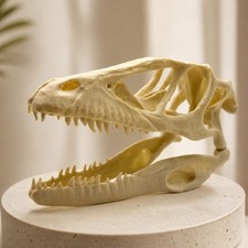 Velociraptor Skull Replica Dinosaur Skull 3D Printed Display Model Decor picture