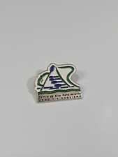 Centro De Alto Rendimiento Remo Y Firaouismo Lapel Pin Rowing Center picture