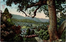 c1916 Panoramic Birdseye View Gold Hill Oregon OR Jackson County Postcard picture