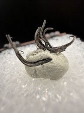 Curled Native Wire Silver Tendrils (Thumbnail) - Bulldog Mine, Colorado picture